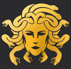 The choice of Medusa by Christina Linardatou was not made by chance. For her, Medusa..